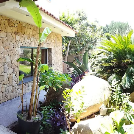 Il Dell'artista Bed & Breakfast *