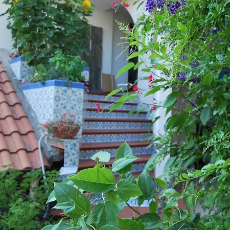 Il Dell'artista Venetico